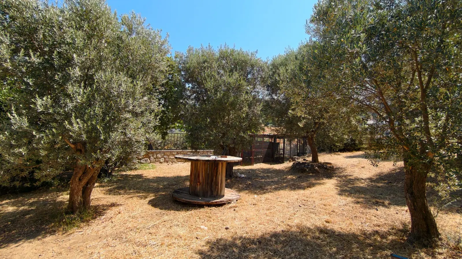 Home in Yalikavak